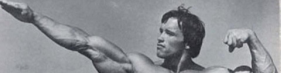 Cover Top 15 Films avec Arnold Alois Schwarzenegger