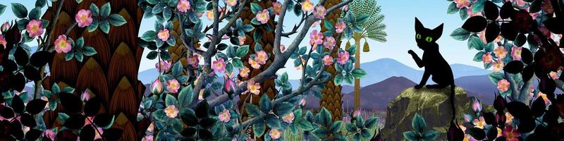 Bannière de Luuciie_