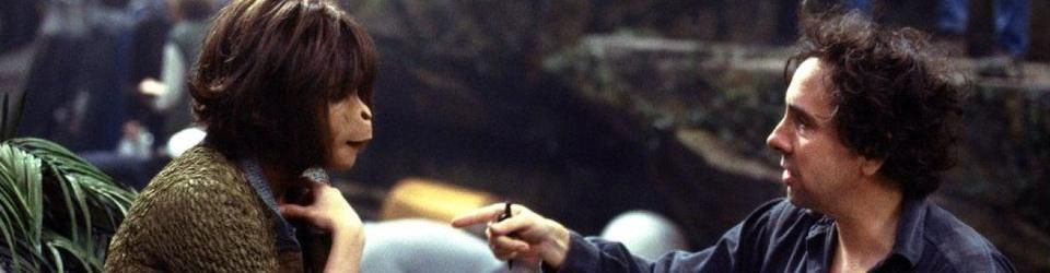 Cover Les meilleurs films de Tim Burton