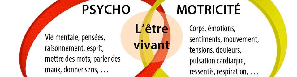 Cover Bibliothèque de psychomotricienne