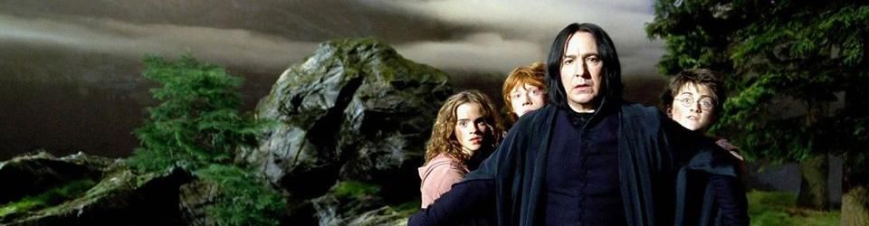 Cover Les meilleurs films de l'univers Harry Potter