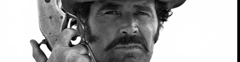 Cover Les westerns de James Garner