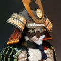 Eneki Neko