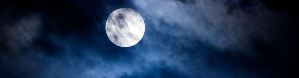 Cover Fly me to the Moon !
