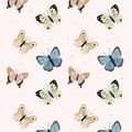 papillon6