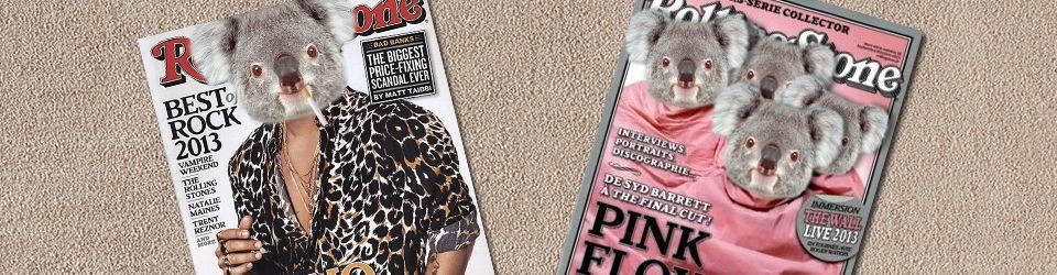 Cover 2013 par un koala