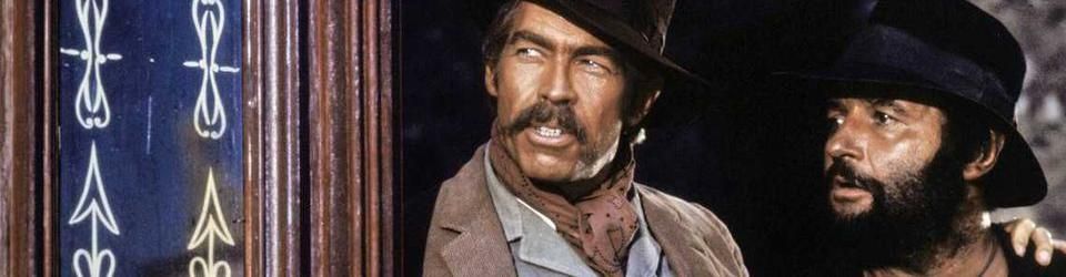 Cover Les meilleurs westerns