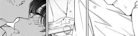 Les meilleurs mangas Yaoi