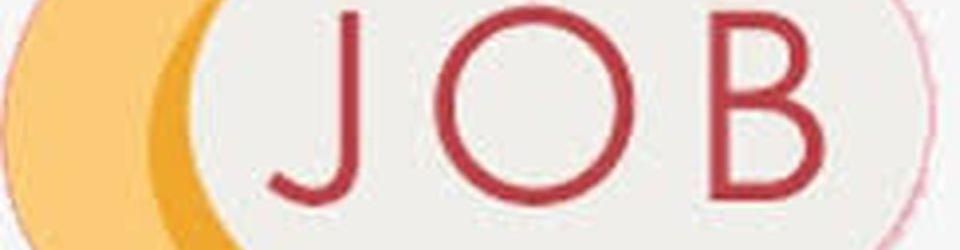 Cover Ils ont fait le job