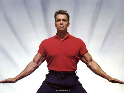 Top - Arnold Schwarzenegger