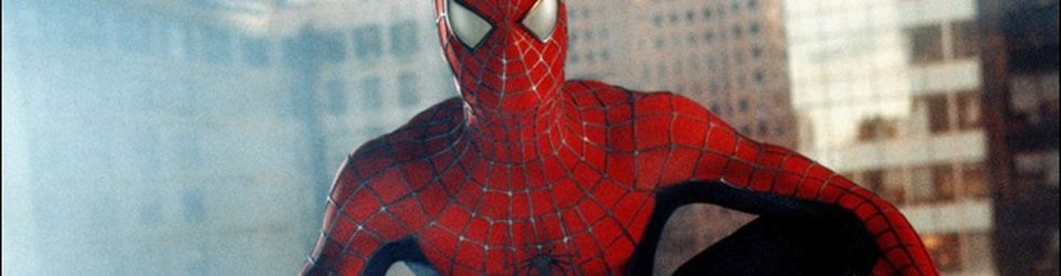 Cover Super-Héros : Spider-Man