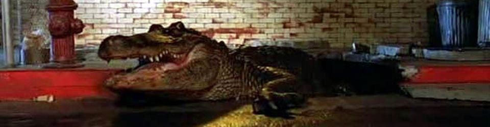 Cover Les meilleurs films de crocodiles/alligators