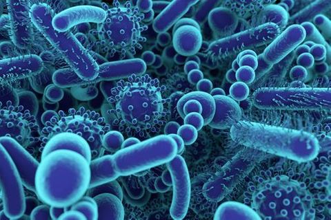 Films Épidémies (Maladies mortelles)