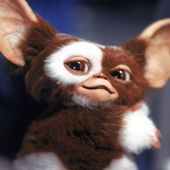 pierreryckebusch