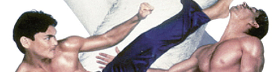 Cover Kicksploitation