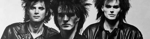 Les meilleurs albums de Skinny Puppy