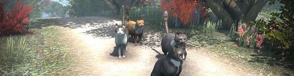 Cover Télé à chats - Top 15 des chats du jeu vidéo