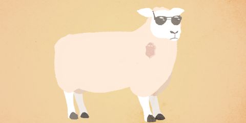 Les joueurs rêvent-ils de moutons digitaux? - Top 15 des moutons du jeu vidéo