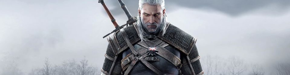 Cover The Witcher