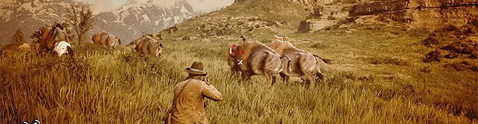 Cover Un bison et sa PS4