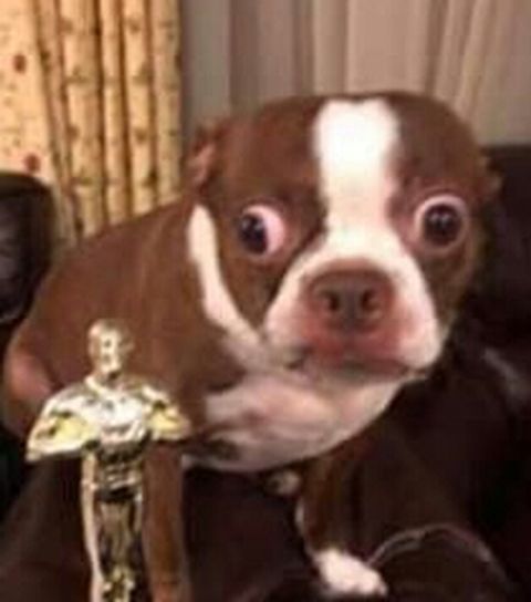 Meilleurs films de la decénnie 2010-2019 (1 film par an)