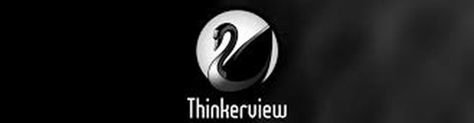 Cover Les livres dans Thinkerview