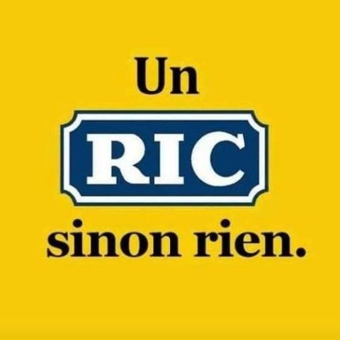 Le RIC des Gilets jaunes. Mémoire de sociologie politique.