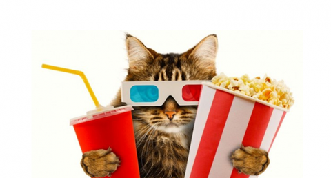 30.films.
