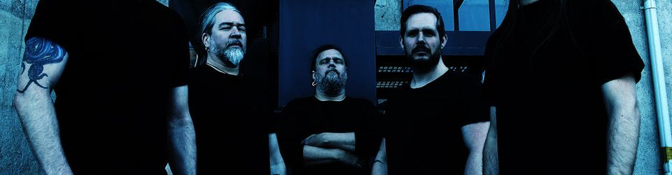 Cover Classement Albums de Meshuggah
