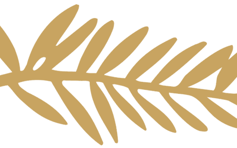 Palme D'or Selection