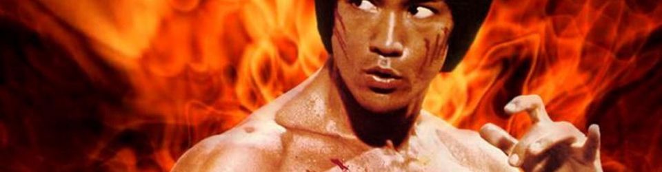 Cover Bruce Lee Cinematic Universe