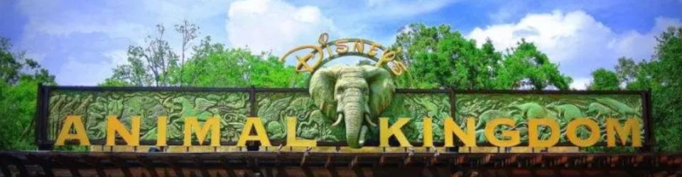 Cover Mon classement des meilleures attractions du parc Disney's Animal Kingdom