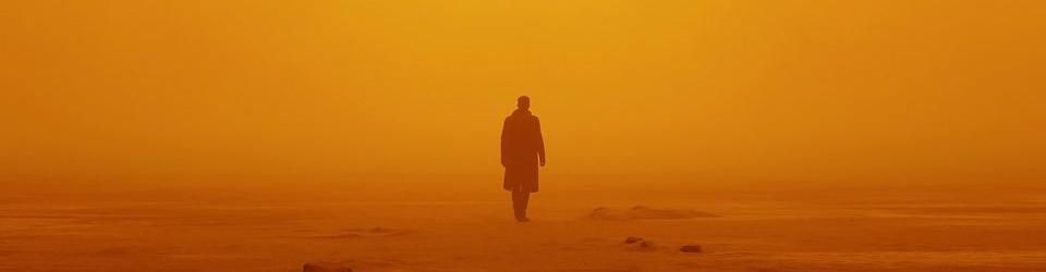 Cover Les meilleurs films de 2017