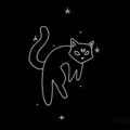 CHAT_NOIR