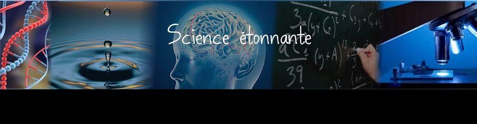 Cover Les meilleures émissions web