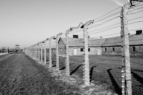 La Shoah, la Déportation et l'Antisémitisme : 1933-1945