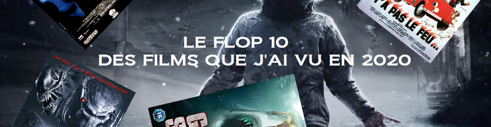 Cover Top/Flop 2020 Partie 5/6