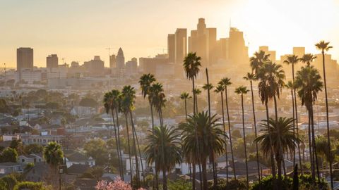 Los Angeles fait son cinéma
(L.A. on films)