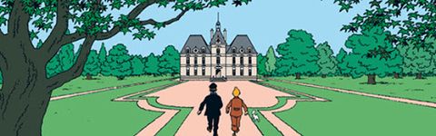 Petite bibliothèque Tintin