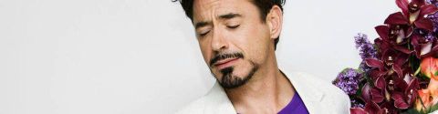 Les meilleurs films avec Robert Downey Jr.
