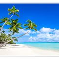 TropicMusical
