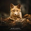 Marc_Photo