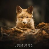 Marc_Photo