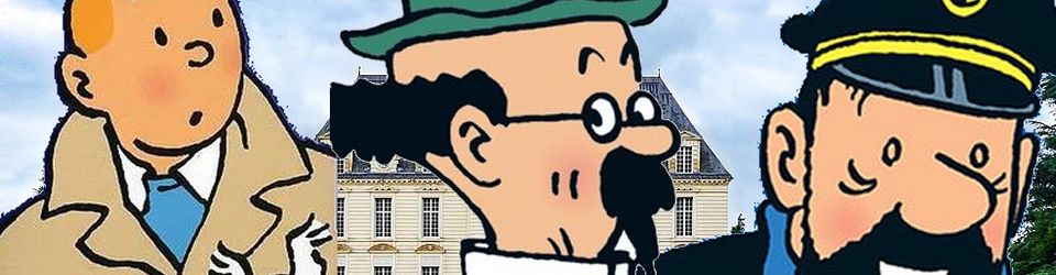 Cover Mes albums de Tintin