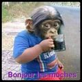 Thibault14tcc