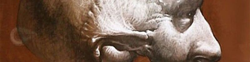 Bannière de Mathieu Mogès
