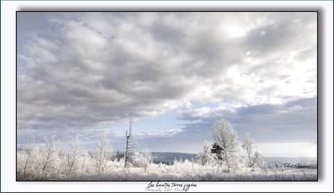 Olibrius: Jeux de neige et d'hiver