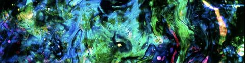 Les meilleurs films de Stan Brakhage