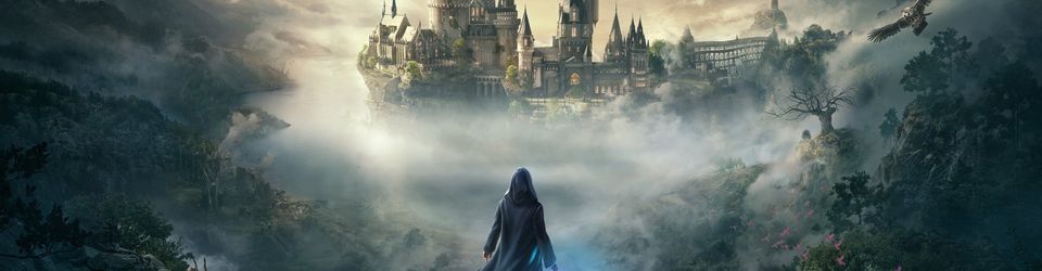 Cover Pourdlard - Rowling Universe
