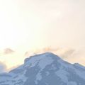 Eglantine-Rouzeyrol4